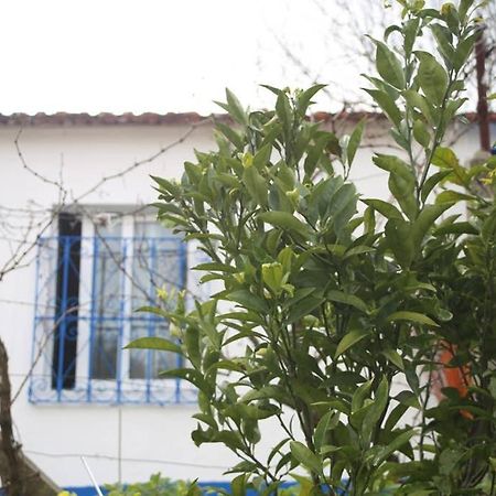 Sintra Nomad Lodge Dış mekan fotoğraf